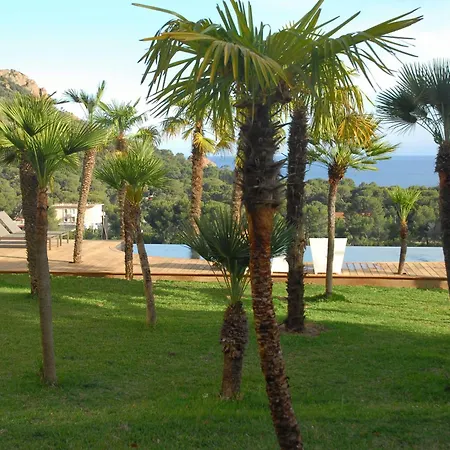 Alfonsa Saint-Raphaël