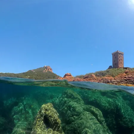 Villa Alfonsa Apartment